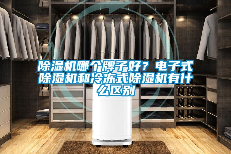 91看片在线下载機哪個牌子好？電子式91看片在线下载機和冷凍式91看片在线下载機有什麽區別