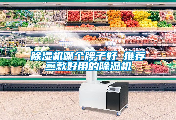 91看片在线下载機哪個牌子好 推薦三款好用的91看片在线下载機