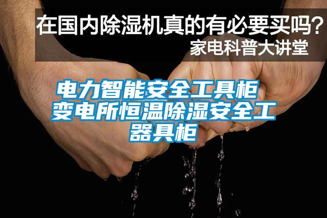 電力智能安全工具櫃 變電所恒溫91看片在线下载安全工器具櫃