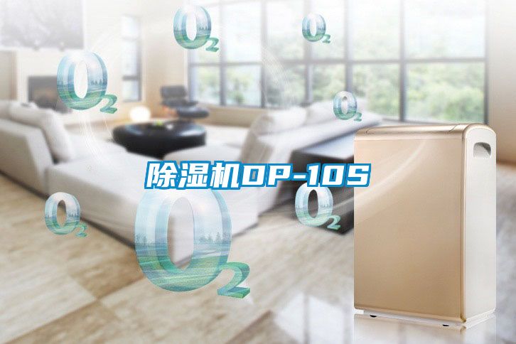 91看片在线下载機DP-10S