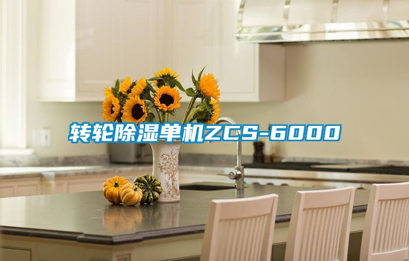 轉輪91看片在线下载單機ZCS-6000
