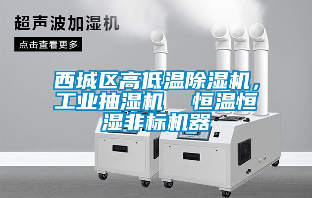西城區高低溫91看片在线下载機，工業抽濕機  恒溫恒濕非標機器