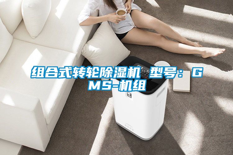 組合式轉輪91看片在线下载機 型號：GMS-機組