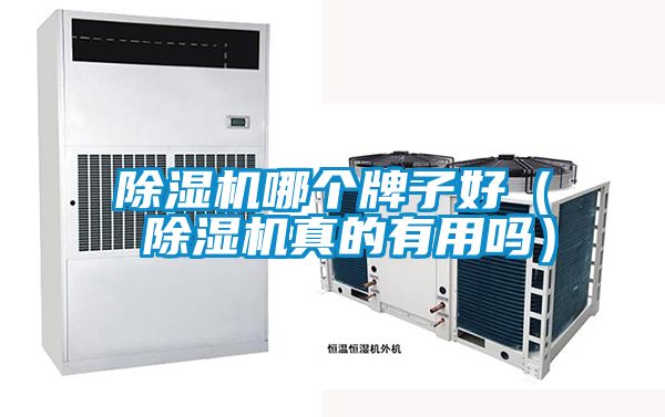 91看片在线下载機哪個牌子好（ 91看片在线下载機真的有用嗎）