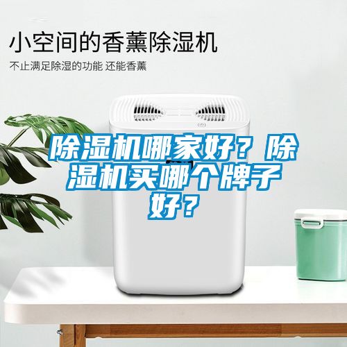 91看片在线下载機哪家好？91看片在线下载機買哪個牌子好？