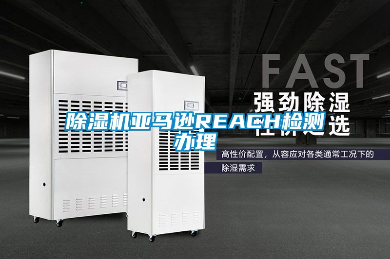 91看片在线下载機亞馬遜REACH檢測辦理