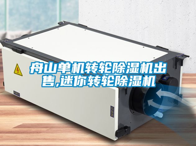 舟山單機轉輪91看片在线下载機出售,迷你轉輪91看片在线下载機