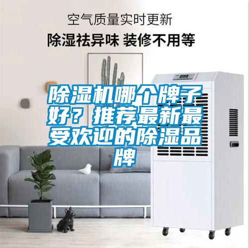 91看片在线下载機哪個牌子好？推薦最新最受歡迎的91看片在线下载品牌