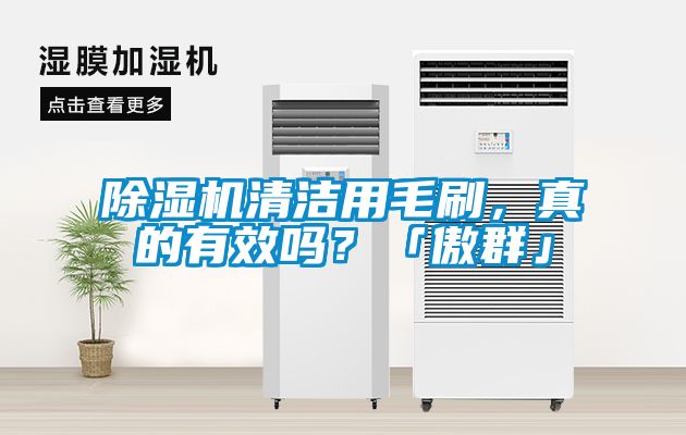 91看片在线下载機清潔用毛刷，真的有效嗎？「傲群」