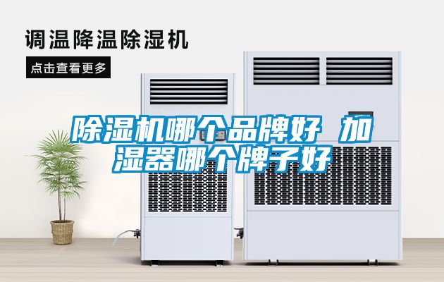 91看片在线下载機哪個品牌好 加濕器哪個牌子好