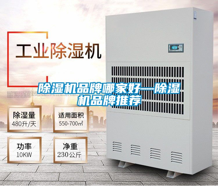 91看片在线下载機品牌哪家好—91看片在线下载機品牌推薦