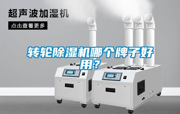 轉輪91看片在线下载機哪個牌子好用？