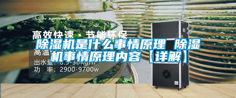 91看片在线下载機是什麽事情原理 91看片在线下载機事情原理內容【詳解】
