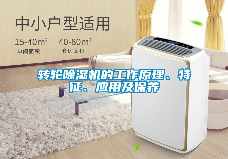 轉輪91看片在线下载機的工作原理、特征、應用及保養