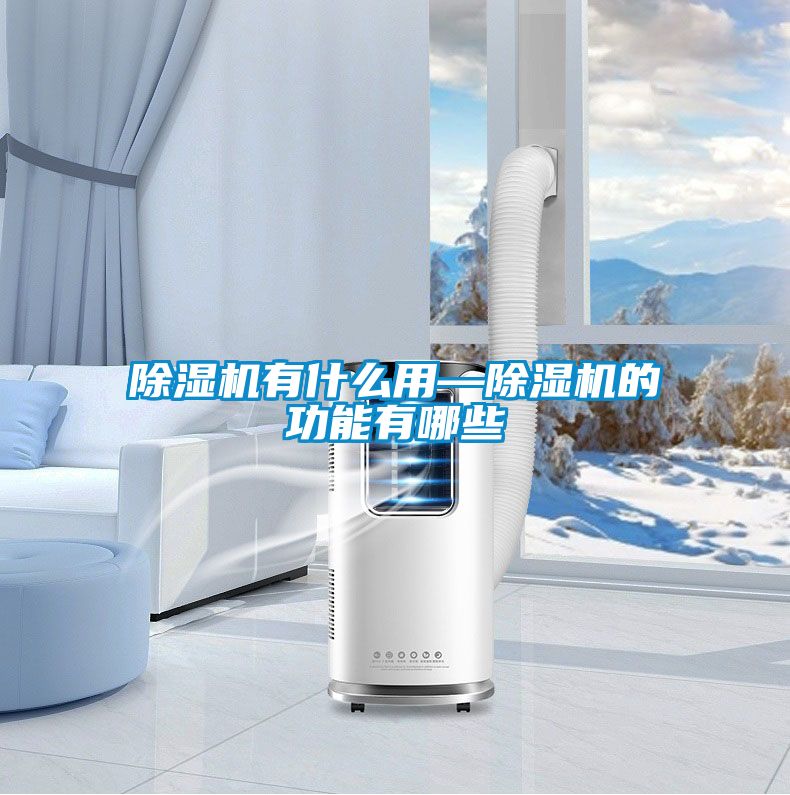 91看片在线下载機有什麽用—91看片在线下载機的功能有哪些