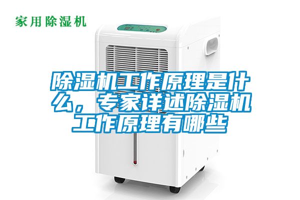 91看片在线下载機工作原理是什麽，專家詳述91看片在线下载機工作原理有哪些