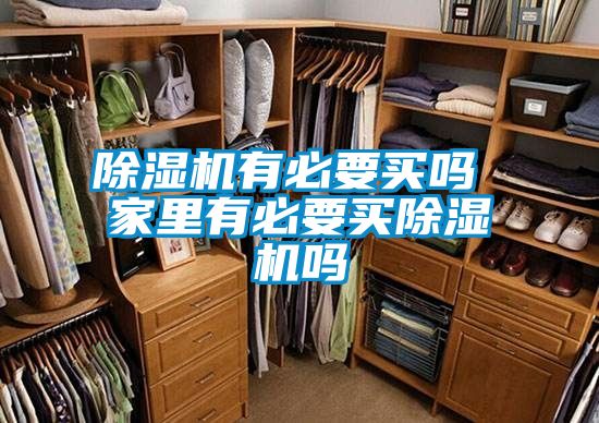 91看片在线下载機有必要買嗎 家裏有必要買91看片在线下载機嗎