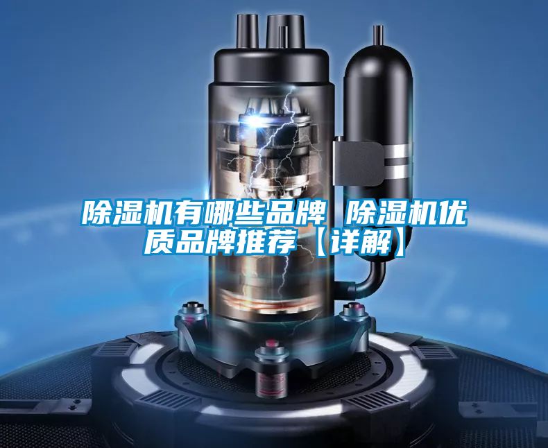 91看片在线下载機有哪些品牌 91看片在线下载機優質品牌推薦【詳解】
