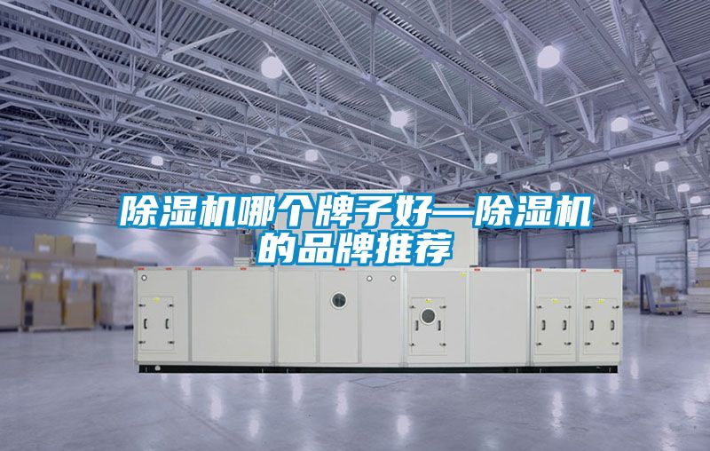 91看片在线下载機哪個牌子好—91看片在线下载機的品牌推薦