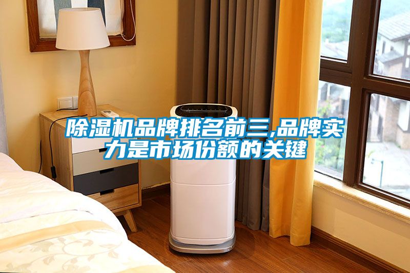 91看片在线下载機品牌排名前三,品牌實力是市場份額的關鍵