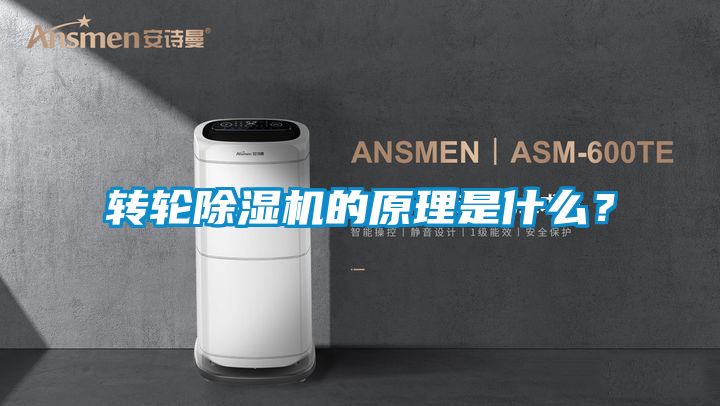 轉輪91看片在线下载機的原理是什麽？
