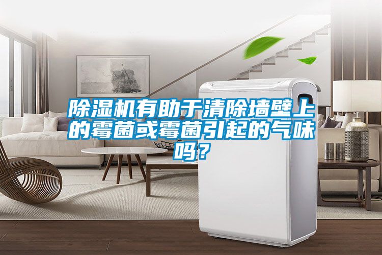 91看片在线下载機有助於清除牆壁上的黴菌或黴菌引起的氣味嗎？