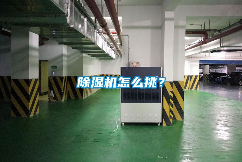91看片在线下载機怎麽挑？