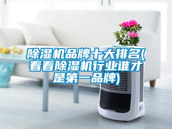 91看片在线下载機品牌十大排名(看看91看片在线下载機行業誰才是第一品牌)