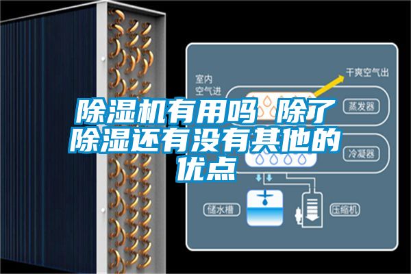 91看片在线下载機有用嗎 除了91看片在线下载還有沒有其他的優點