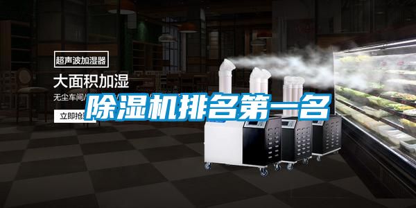 91看片在线下载機排名第一名