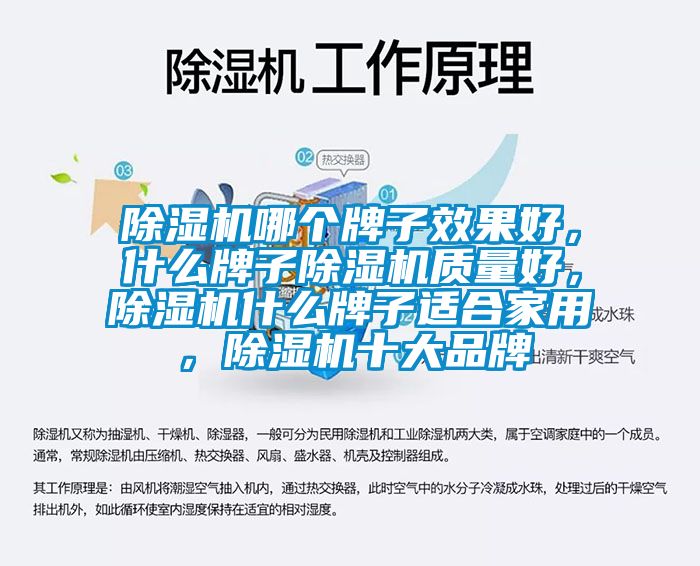 91看片在线下载機哪個牌子效果好，什麽牌子91看片在线下载機質量好，91看片在线下载機什麽牌子適合家用，91看片在线下载機十大品牌
