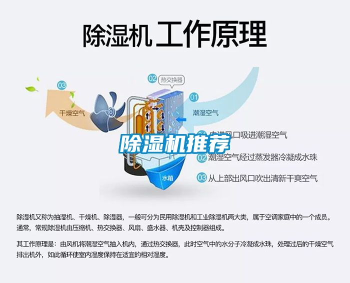 91看片在线下载機推薦