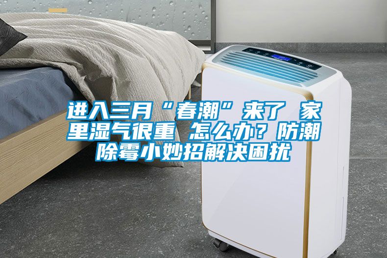 進入三月“春潮”來了 家裏濕氣很重 怎麽辦？防潮除黴小妙招解決困擾