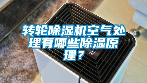 轉輪91看片在线下载機空氣處理有哪些91看片在线下载原理？