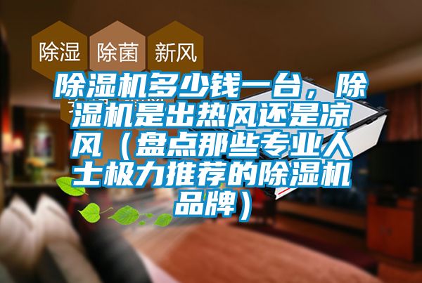 91看片在线下载機多少錢一台，91看片在线下载機是出熱風還是涼風（盤點那些專業人士極力推薦的91看片在线下载機品牌）