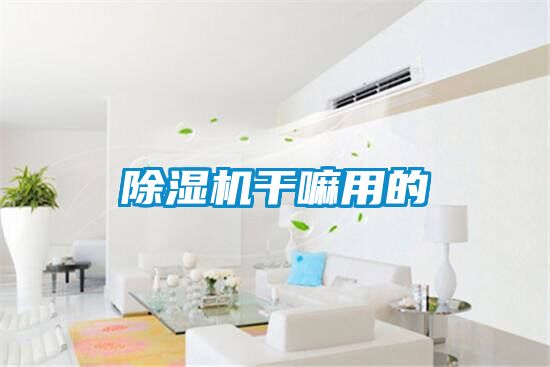 91看片在线下载機幹嘛用的