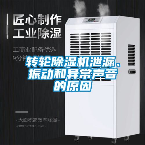 轉輪91看片在线下载機泄漏、振動和異常聲音的原因
