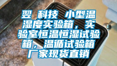 翌昇科技 小型溫濕度實驗箱，實驗室恒溫恒濕試驗箱，溫循試驗箱廠家現貨直銷