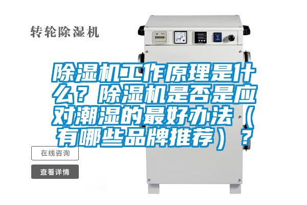 91看片在线下载機工作原理是什麽？91看片在线下载機是否是應對潮濕的最好辦法（有哪些品牌推薦）？