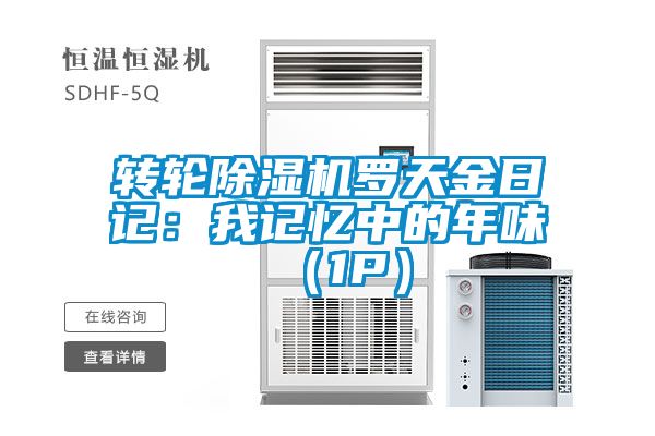 轉輪91看片在线下载機羅天金日記：我記憶中的年味 （1P）