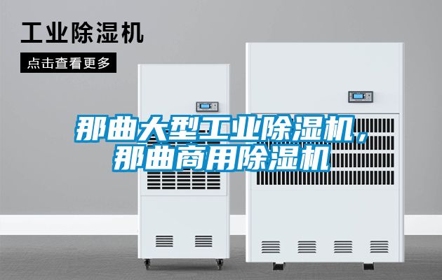 那曲大型工業91看片在线下载機，那曲商用91看片在线下载機