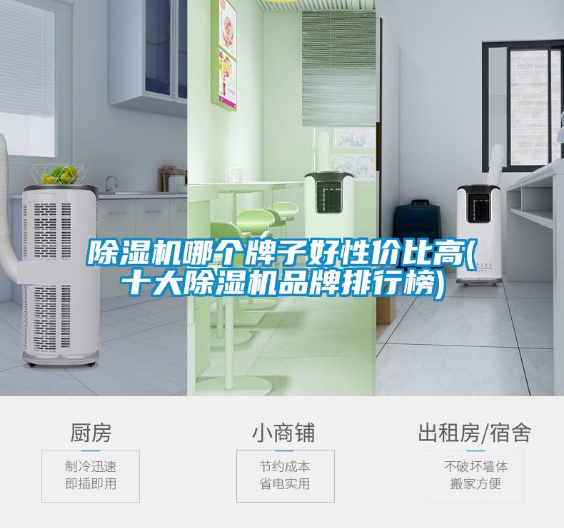91看片在线下载機哪個牌子好性價比高(十大91看片在线下载機品牌排行榜)