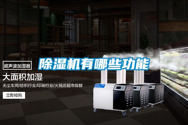 91看片在线下载機有哪些功能