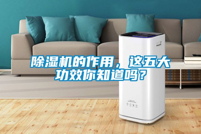 91看片在线下载機的作用，這五大功效你知道嗎？