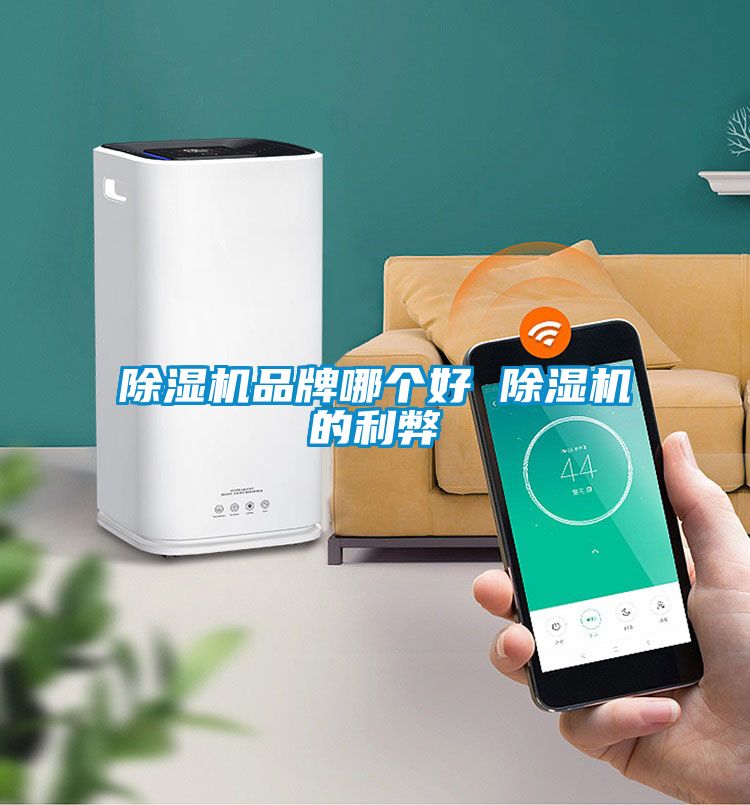 91看片在线下载機品牌哪個好 91看片在线下载機的利弊