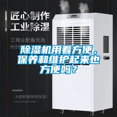 91看片在线下载機用著方便，保養和維護起來也方便嗎？