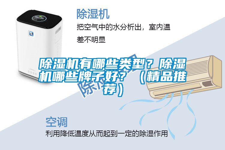 91看片在线下载機有哪些類型？91看片在线下载機哪些牌子好？（精品推薦）