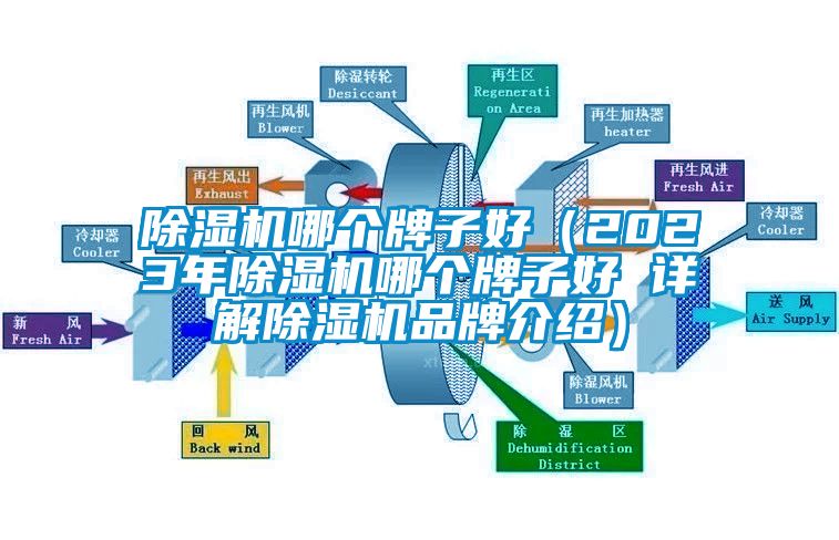 91看片在线下载機哪個牌子好（2023年91看片在线下载機哪個牌子好 詳解91看片在线下载機品牌介紹）