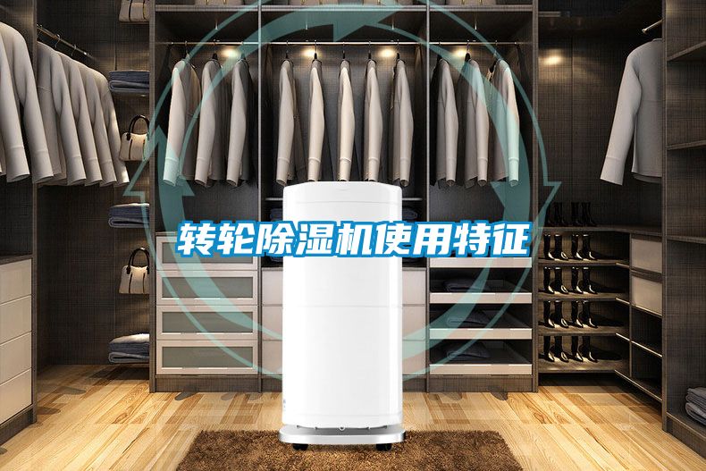 轉輪91看片在线下载機使用特征
