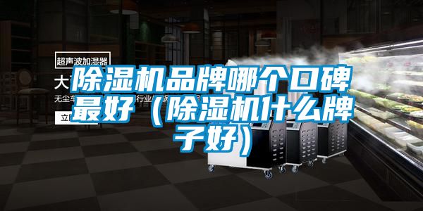 91看片在线下载機品牌哪個口碑最好（91看片在线下载機什麽牌子好）